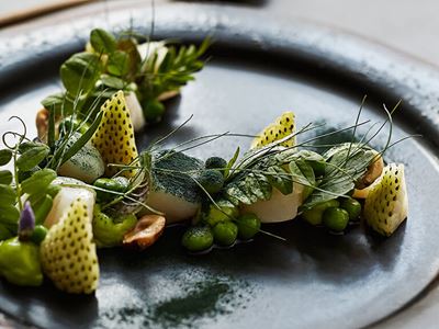 Gastronomi